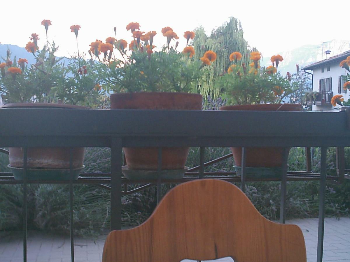 B&B La Pinara Trento Ngoại thất bức ảnh