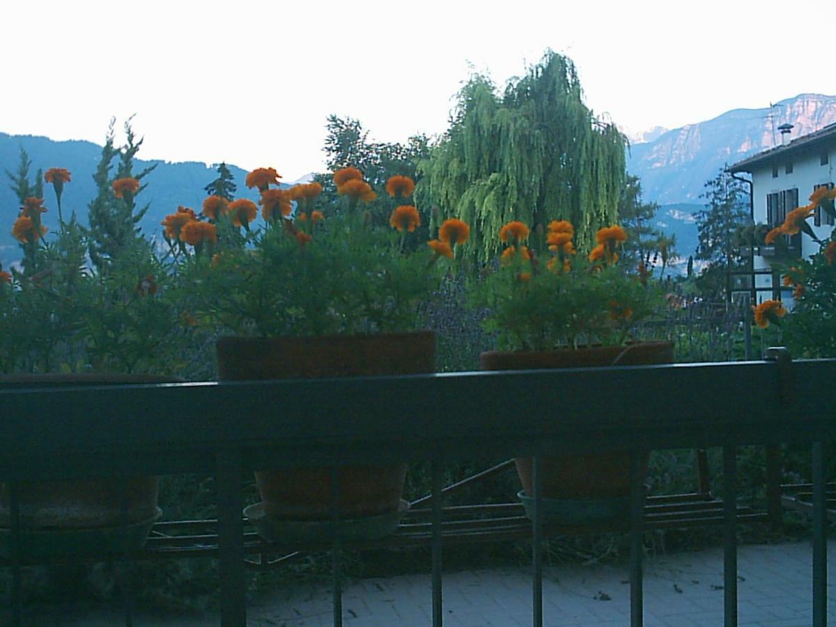 B&B La Pinara Trento Ngoại thất bức ảnh